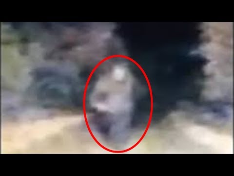 Motorist saved by Bigfoot - RBE03