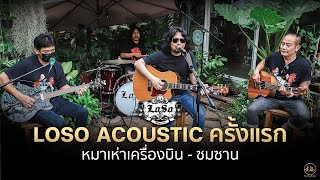 หมาเห่าเครื่องบิน • ซมซาน | LOSO Acoustic