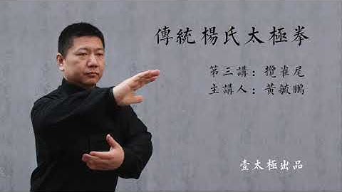 黄毓鹏讲解传统杨式太极拳85式-第3课 揽雀尾 Traditional Yang Style Taichi 85 form