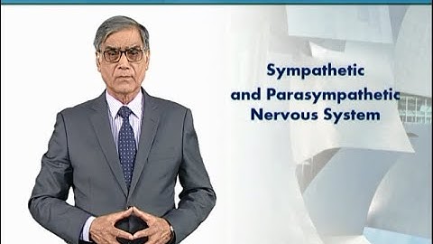 Sympathetic & Parasympathetic Nervous System | Animal Form & Function 1 (Theory) | ZOO516T_Topic055