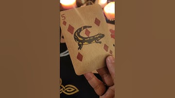 Message from the Universe #tarot ##shorts #tarotreading #lovereading #abundance #universe