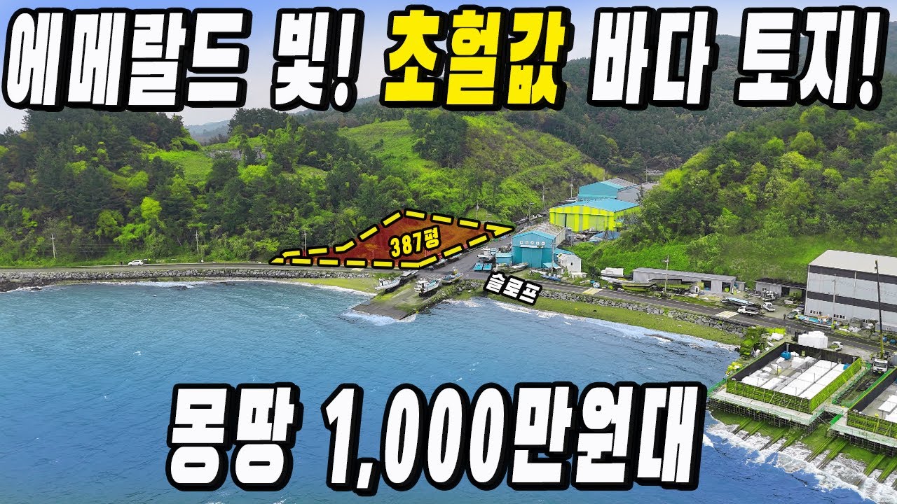 바다 코앞 1000만원대 등장! 초헐값~ 전망 최고~ 387평 몽땅! 가져가세요~