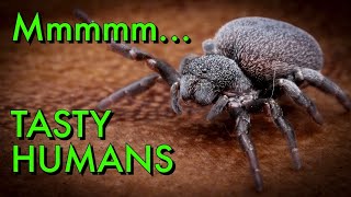 Spiders Can EAT EVERY PERSON on Earth!?!