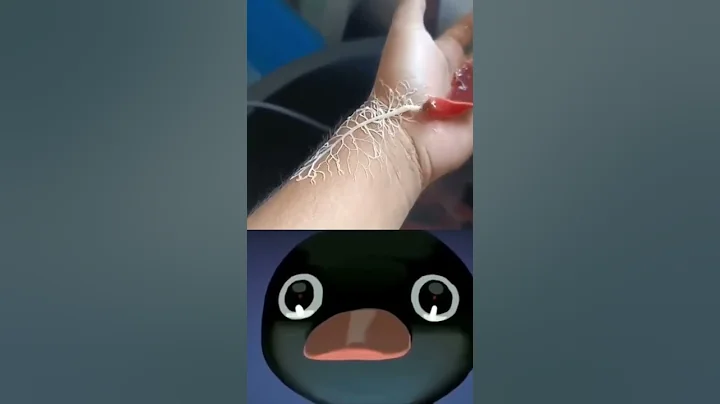Noot noot meme  – pingu noot noot #shorts #noot #pingu #tiktok el video no es mío