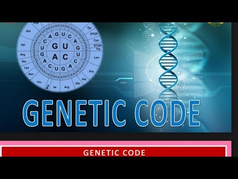@molecularbiologyexplained1591 genetic code a language of DNA explain ...