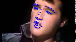Celebrity Face Tracking with Gauss-Newton Deformable Part Models Wealth