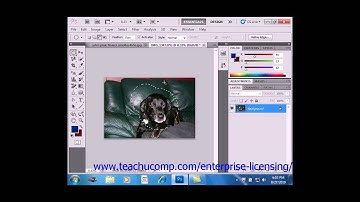 Photoshop CS6 Tutorial The Marquee Tool Adobe Training