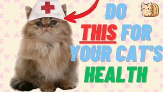 4 Tips You SHOULD KNOW for Keeping Your Cat Healthy and Happy
