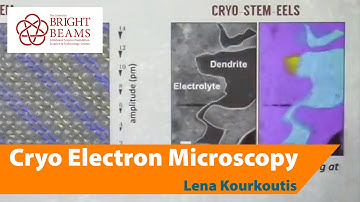 New Frontiers in Cryo Electron Microscopy by Lena Kourkoutis
