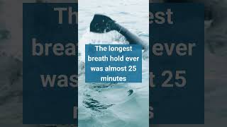 The Longest Breath #worldrecord #worldrecords #guinnessworldrecords