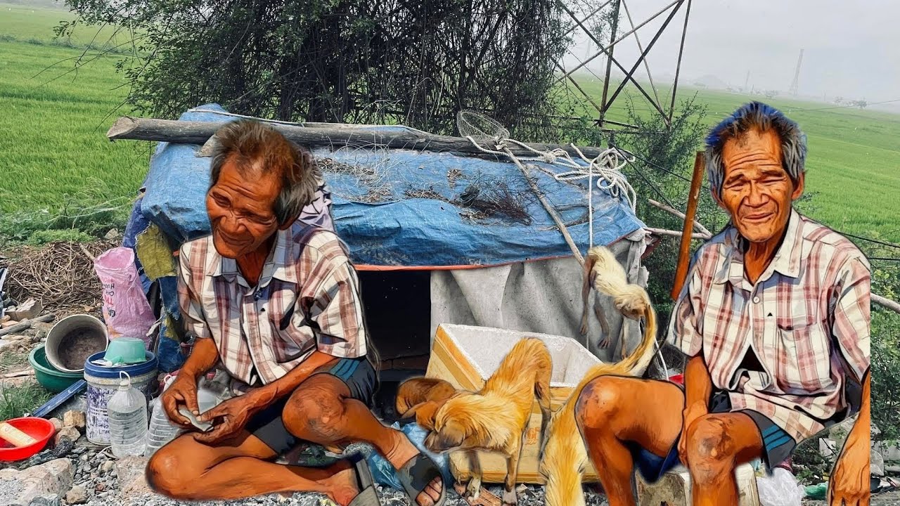 Ớn Lạnh Kinh Hoàng Độc Lạ Người Đàn Ông Vô Gia Cư Ăn Mì Gói 51 Năm Ở Căn Chòi Rách Nát