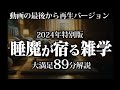 【最後から再生】睡魔が宿る雑学【リラックス】とても深い睡眠へ招待します♪