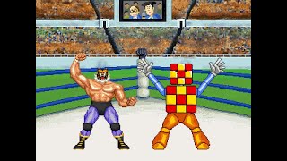 Tiger Mask Vs Cubeman