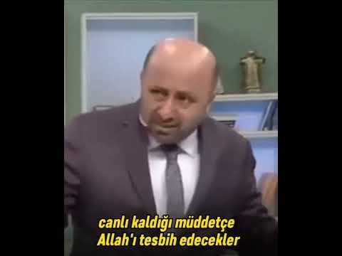 Ömer Döngeloğlu Ağaçların