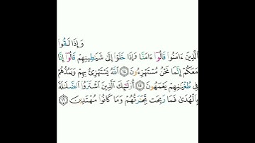 2 - سورة البقرة (١٤-١٦) - مشاري بن راشد العفاسي