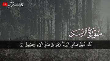القارئ سمير عزت / ماتيسر من سورة الزمر