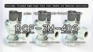 Externally Threaded Pulse Valve DCF-ZM Series | Model Nomenclature & Installation Guide Externally Threaded Pulse Valve DCF-ZM Series | Model Nomenclature & Installation Guide