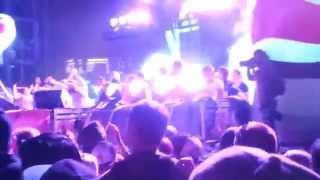 GIRL TALK: Greg Gillis (3) @ Chive Fest 2014