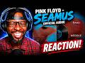 🎸🐶 PINK FLOYD “SEAMUS” REACTION - THIS WAS WAY MORE UNIQUE THAN I EXPECTED! 😳🔥