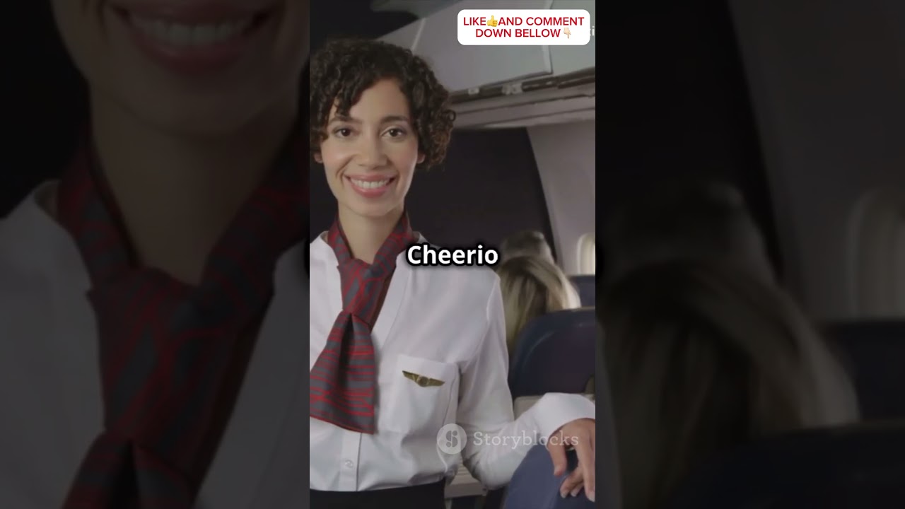 5 Crazy Facts About Flight Attendants You Will Never Believe! 