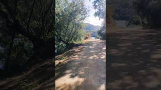 Paseo Fluvial Barbantes - Cenlle | CaminandoGalicia #galicia #paseo #nature