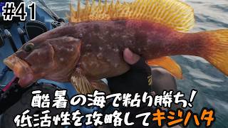 41 Red Spotted Grouper in the Scorching Sea! - YouTube