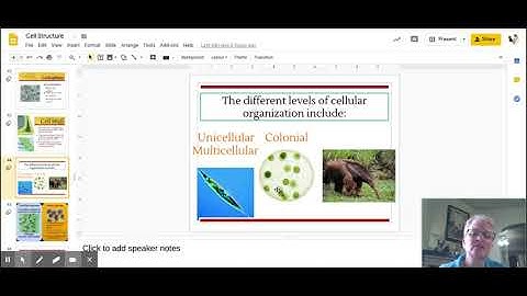 Cell Structure - Google Slides