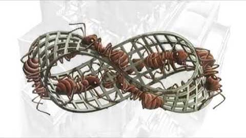 MC Escher, Images of Mathematics