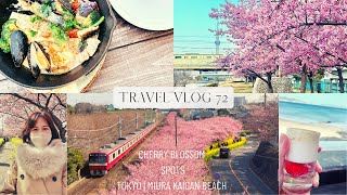 JAPAN travel vlog 72｜2022 三浦海岸・舊中川- 河津櫻｜厚片 ... 
