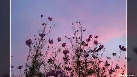 استمع لكلام الله تعالى... بصوت جميل... القارئ:مشاري البغلي...