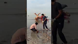 After Ganpati Visarjan Beach Cleaning ❤️ #minivlog #vlog #ganpativisarjan screenshot 1