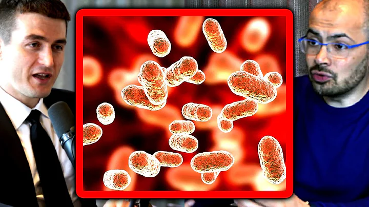 Can AI find the origin of life? | Demis Hassabis and Lex Fridman