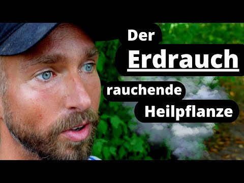 Video: Kannst du Erdrauch essen?