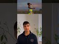 Wan 2.2 Animate UPDATE: 4X Faster AI Videos, Ultra HD, Only $0.08/Sec | NEXT-LEVEL Creator Tool!
