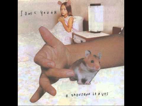 Sonic Youth - A Thousand Leaves - YouTube