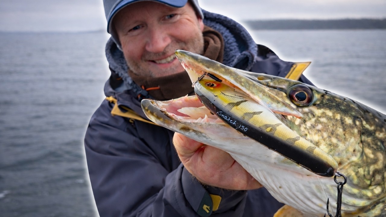Hechte aus der Tiefe locken | Diese Methode halten die Räuber nicht aus