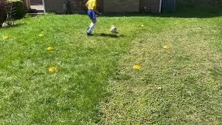 SVA Session Activity H