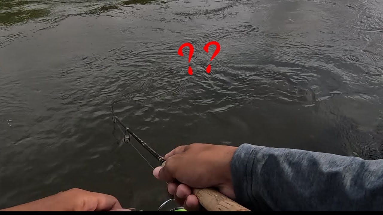 猛追するデカ黒い魚影がピックアップ寸前で喰った！