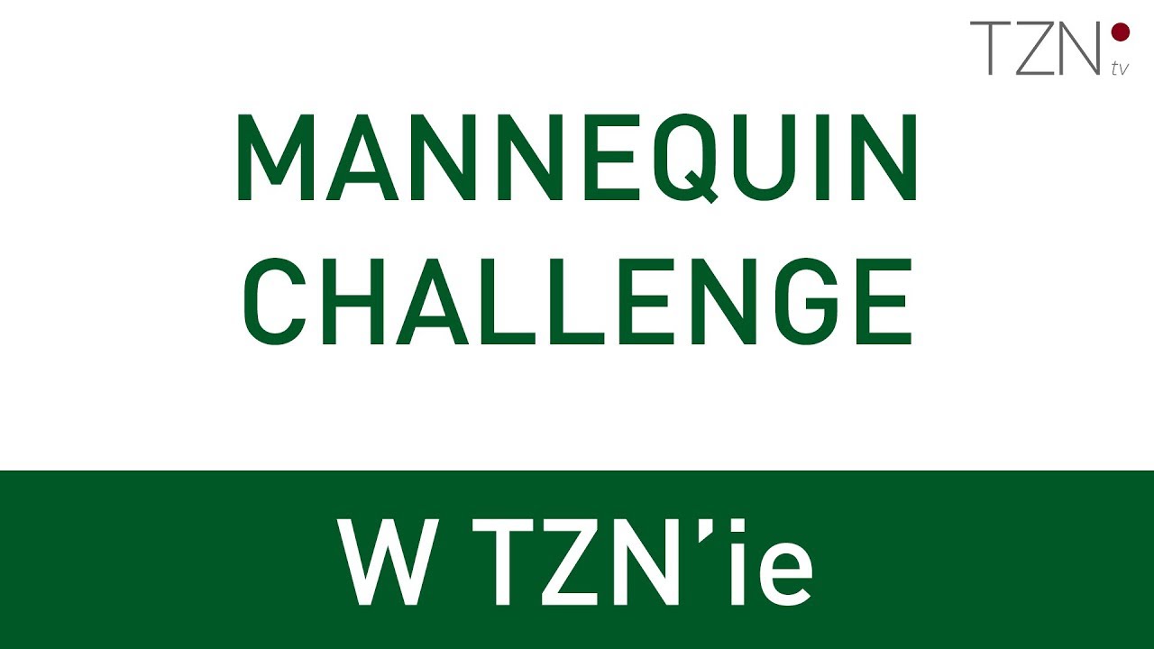 MANNEQUIN CHALLENGE W TZN'ie