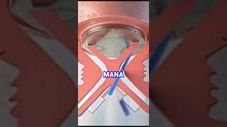 Tebak-tebakan lucu #tebaktebakanlucu #tebaktebakan #jokeslucu #humorsegar #lucu #shorts #remix #fyp