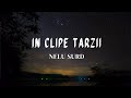 În Clipe Târzii - Nelu Surd | Muzică Creștină Română (Audio)