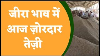 जीरा भाव में अभी अभी बड़ी तेज़ी commodity market | Daily Mandi bhav #commodity screenshot 4