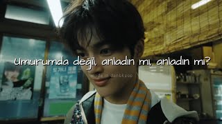 Cortis - Redred (Türkçe Çeviri) Mv