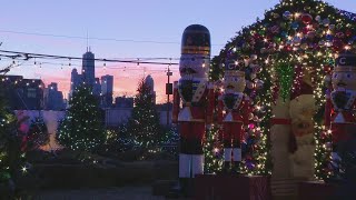 Christmas tree farm brings a winter wonderland to Chicago