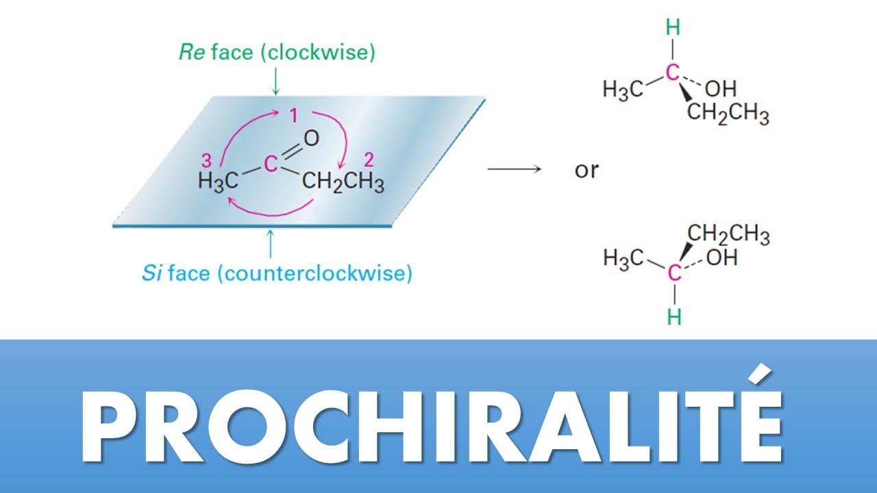 Prochiralité : exercice corrigé (topicité, faces Ré/Si)