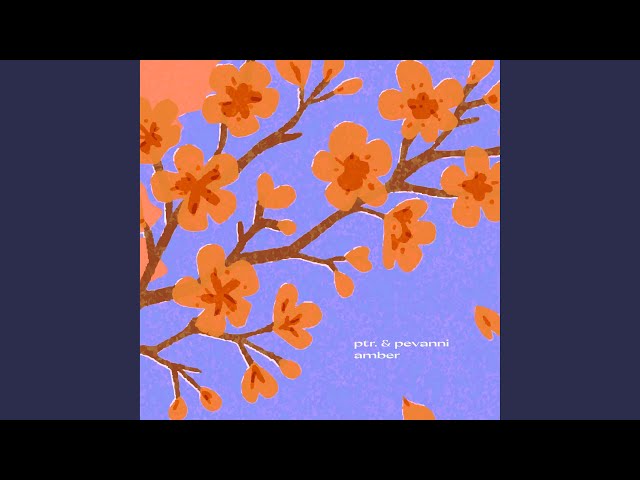Amber - YouTube