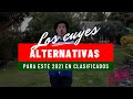 ALGUNAS ALTERNATIVAS PARA ESTE 2021, LOS CUYES