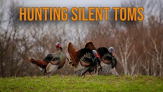 Hunting Silent Turkeys: The Secrets You Need to Know! by Informed Outdoors 4,362 views 11 months ago 5 minutes, 4 seconds