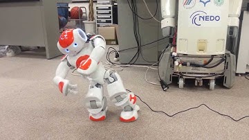 Nao Robot Tai chi performance