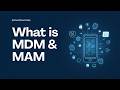 MDM vs MAM in Microsoft Intune - What’s the Difference? (2026)